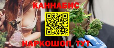 гидра Будённовск