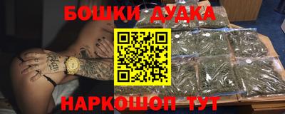 гидра Будённовск