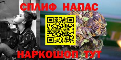 гидра Будённовск